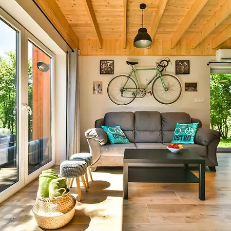 Z Pasja * Копалино